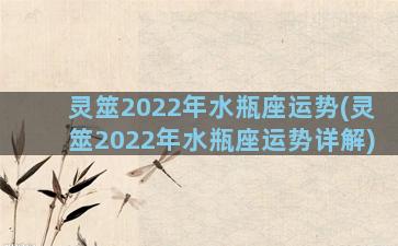 灵筮2022年水瓶座运势(灵筮2022年水瓶座运势详解)