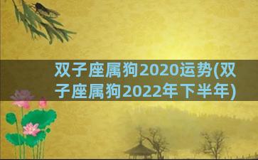 双子座属狗2020运势(双子座属狗2022年下半年)