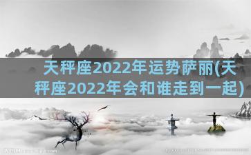 天秤座2022年运势萨丽(天秤座2022年会和谁走到一起)