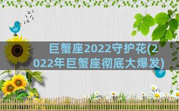巨蟹座2022守护花(2022年巨蟹座彻底大爆发)