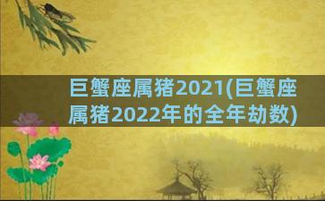 巨蟹座属猪2021(巨蟹座属猪2022年的全年劫数)