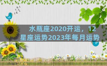 水瓶座2020开运，12星座运势2023年每月运势